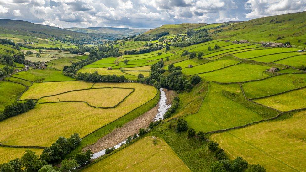 Fields and stream