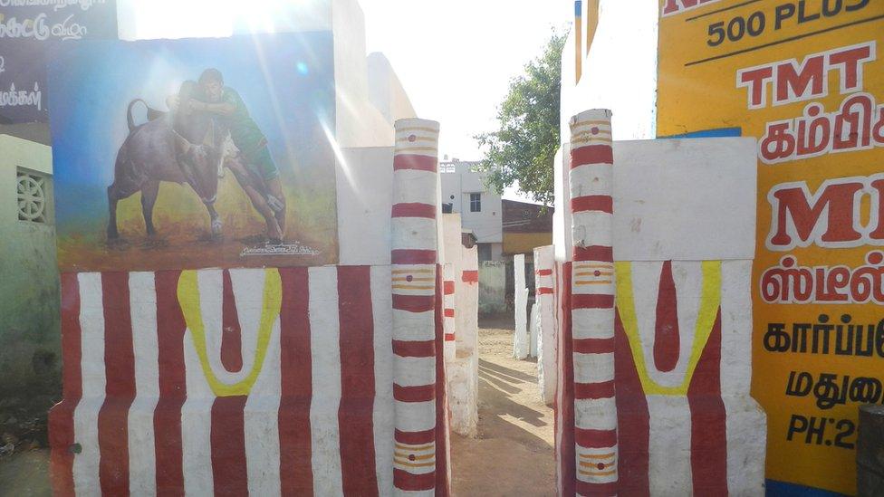 The bull ring at Alanganallur