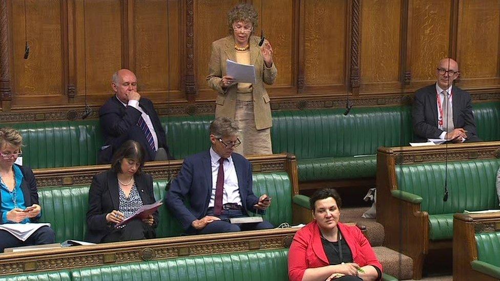 Kate Hoey in Commons debate