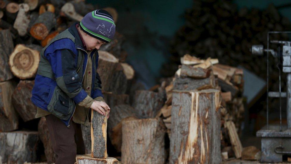 A boy inspects a firewood in the town of Douma, eastern Ghouta in Damascus, Syria (January 5, 2016)