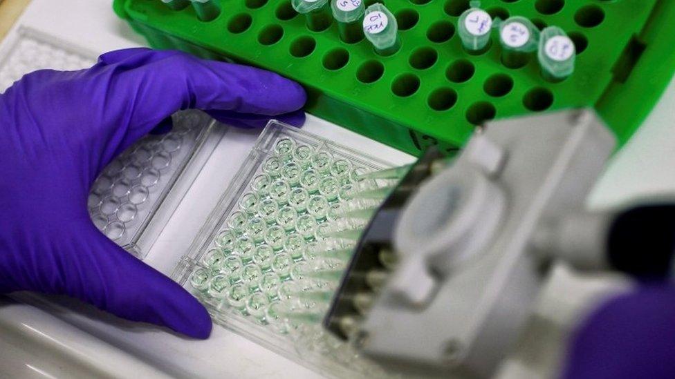 A scientist prepares protein samples for analysis in a lab at the Institute of Cancer Research in Sutton