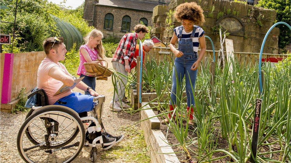 Children harvest from an allotment