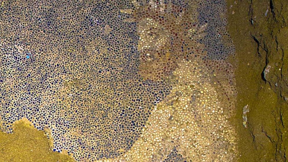 Mosaic detail from tomb site in Amphipolis, Greece