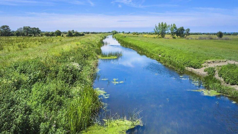 The Somerset Levels