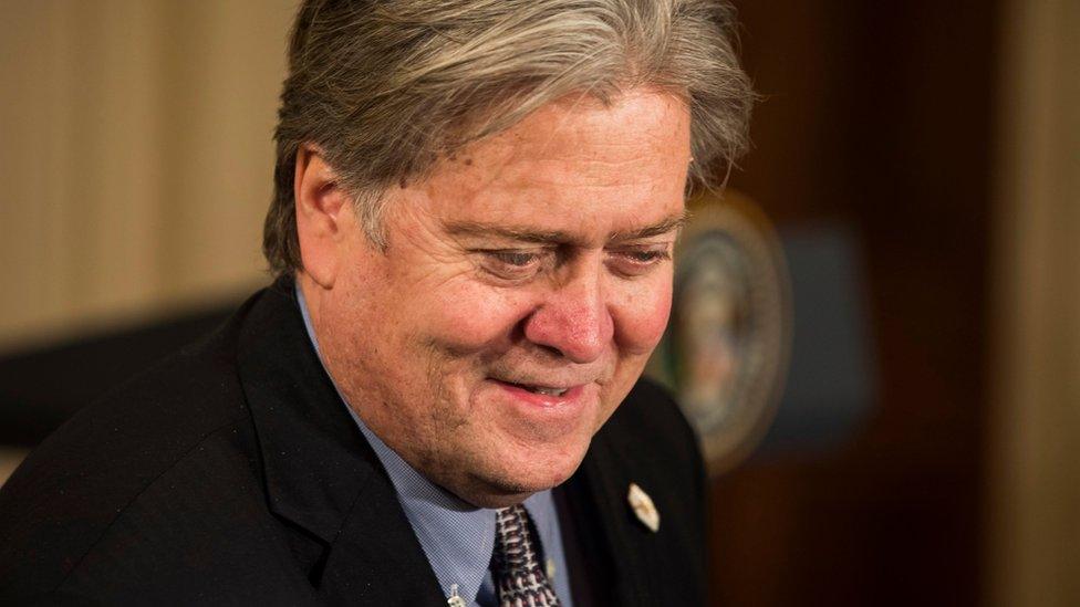 Chief Strategist and Senior Counselor Stephen Bannon during a press conference at the White House