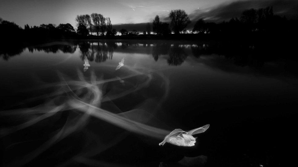 ghostly looking bats flying over water