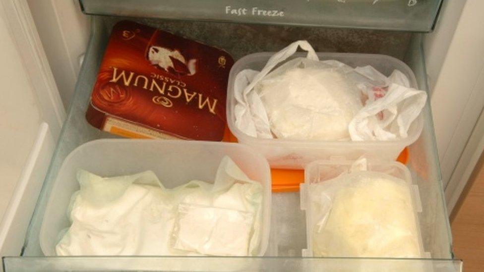 Drugs were found stashed in the freezer