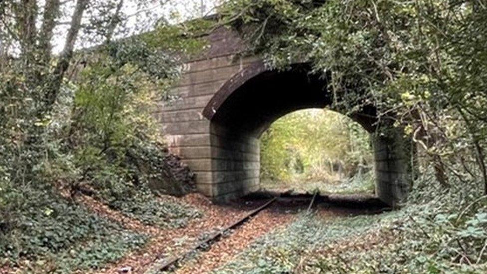 Caldicot railway