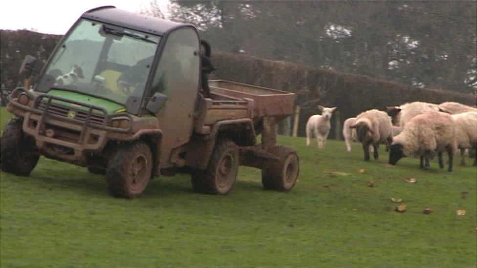 Farming in Powys