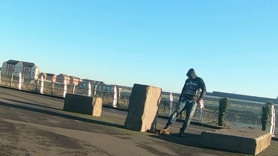 Man kicking a cat