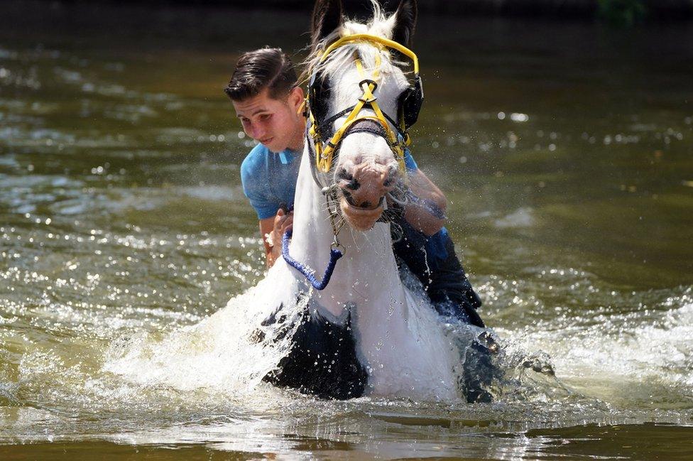 A traveller rides his horse through the river during the Appleby Horse Fair