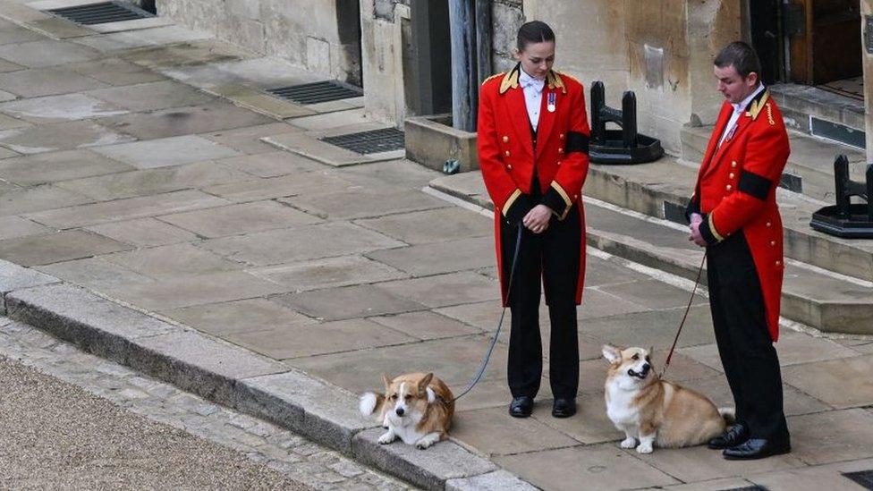 Two members of royal staff in uniform, with two corgis on leads.