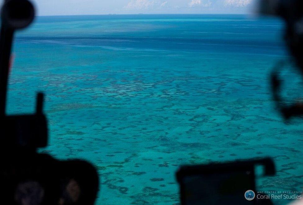 Aerial surveys of the Great Barrier Reef