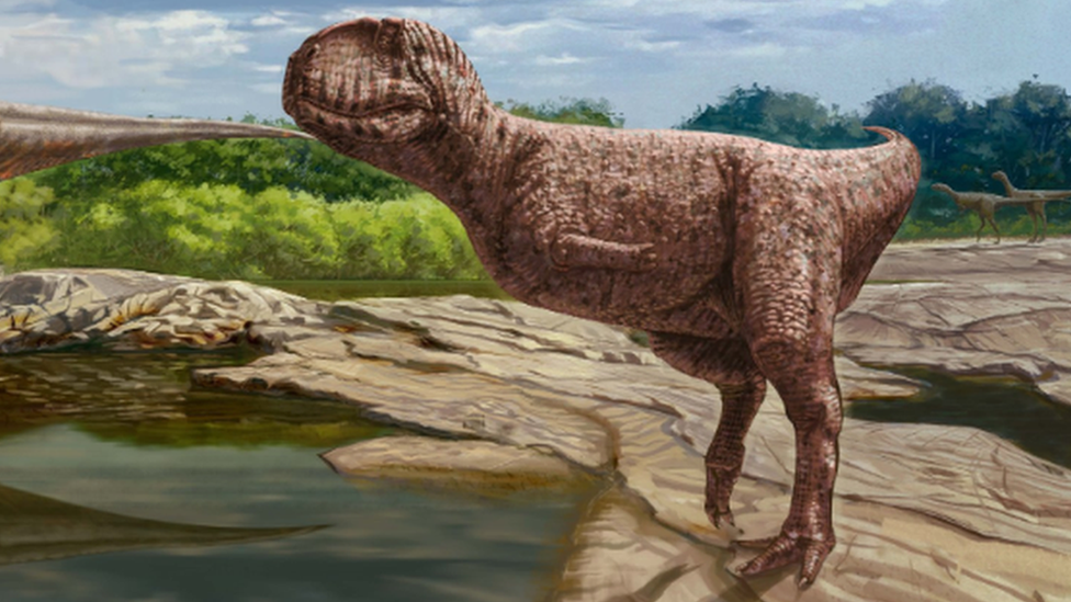 Artists's impression of how the newly discovered dinosaur might have looked