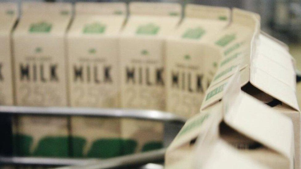 Jersey Dairy 2.5% one-litre milk cartons