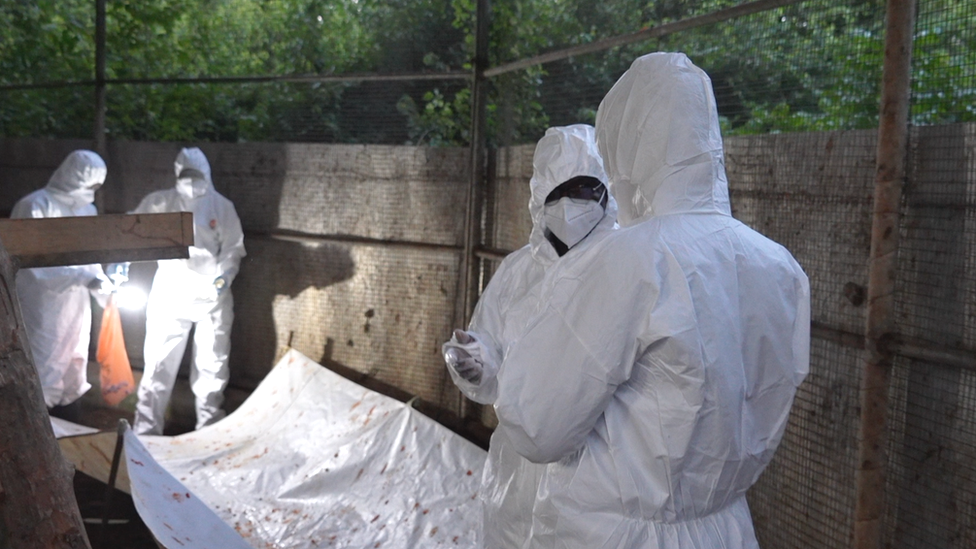 Scientists dressed in PPE