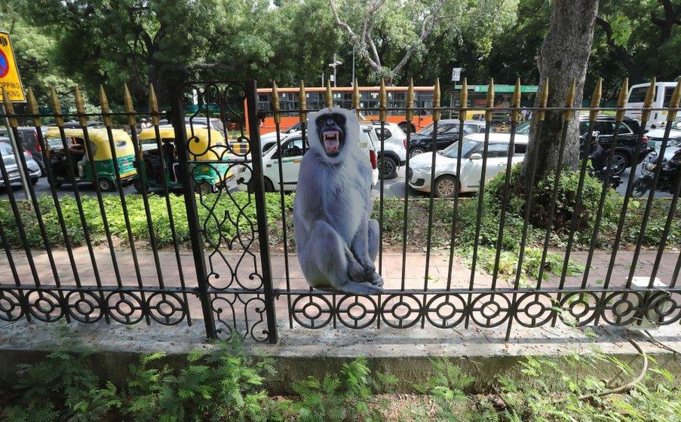 cut-out of a langur is tied by the New Delhi Municipal Council (NDMC) to a fence alongside a road to scare away monkeys near Sardarpatel Marg ahead of G20 Summit in Delhi, India, 31 August 2023. Indian capital New Delhi is all set to hold the G20 Heads of State and Government Summit that will be held on 09 and 10 September 2023 and Delhi government had issued a notification declaring public holiday in the national capital on September 8-10 directed shops, businesses and commercial establishments in the New Delhi district to grant paid holiday to their employees and workers during the Summit