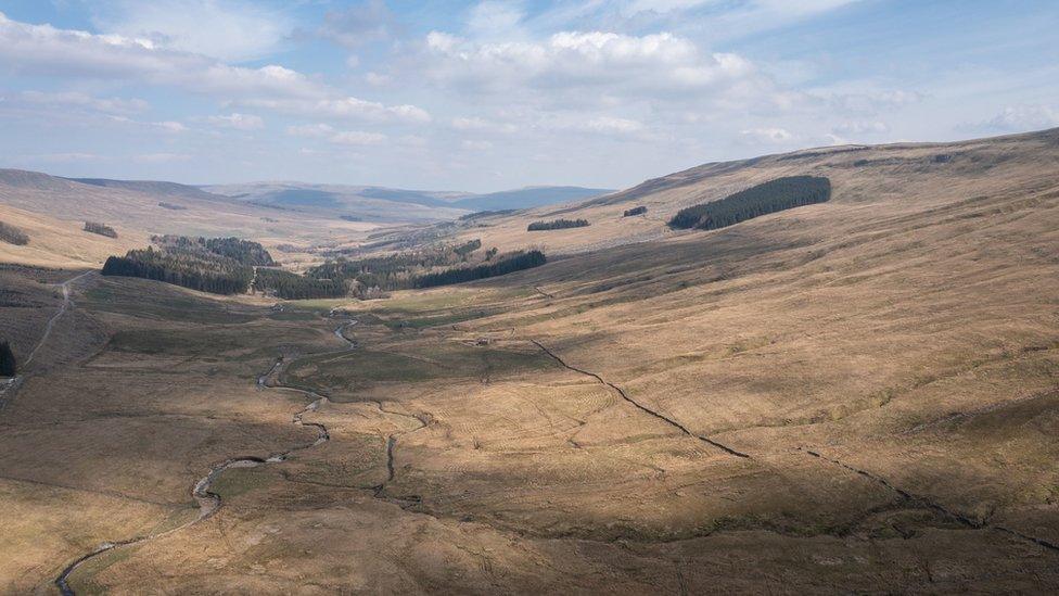 Undated handout photo issued by WTML of Snaizeholme, an open landscape near to Hawes