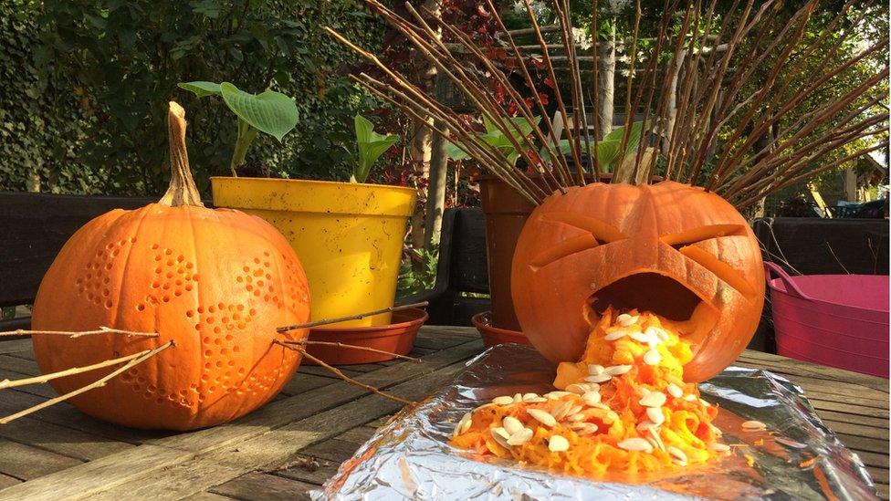 Cat pumpkin and poorly pumpkin