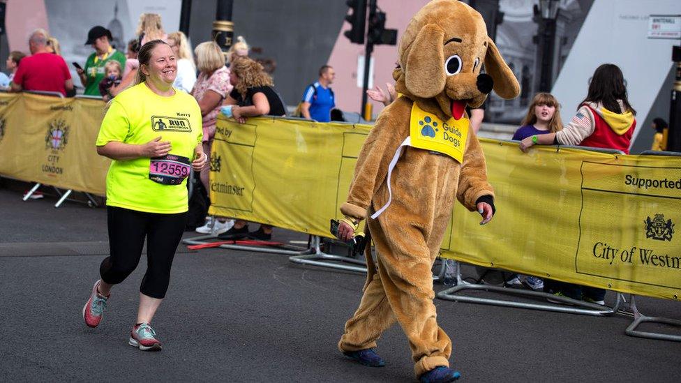 Dog costume