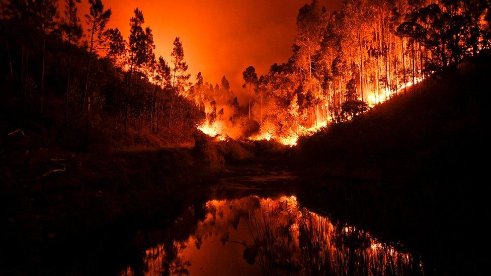 A wildfire is reflected in a stream at Penela, Coimbra, central Portugal, on June 18, 2017.