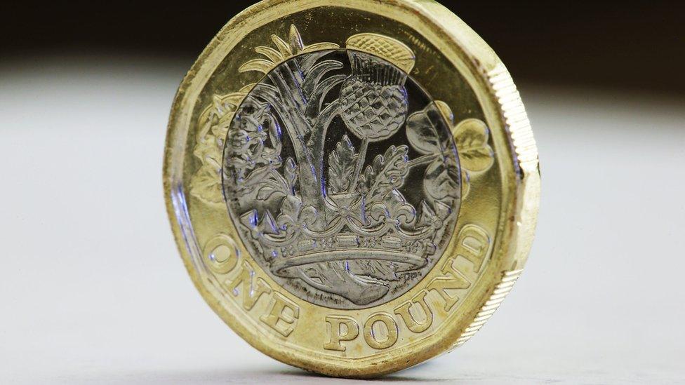 One pound coin