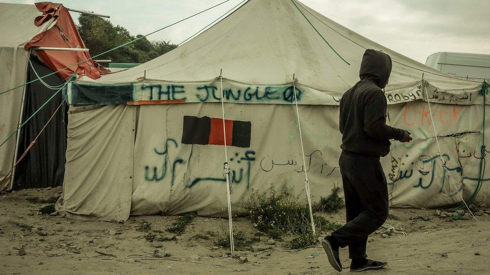 A tent in the 'Jungle' migrant camp