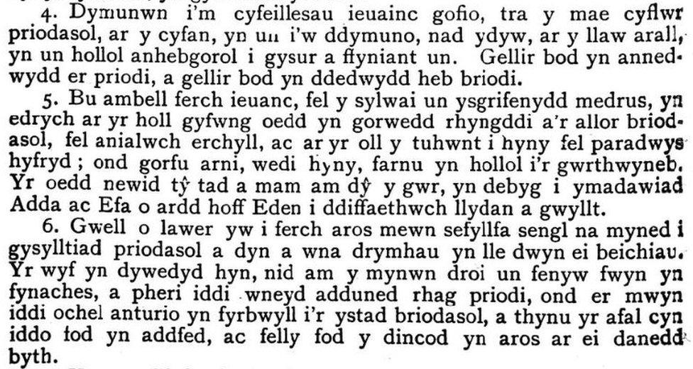 Y Frythones Chwefror 1885