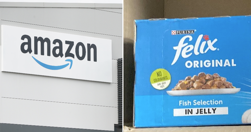 Amazon logo and Felix cat food