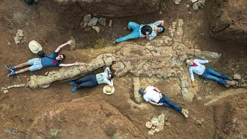 The group of friends with the elasmosaur fossil