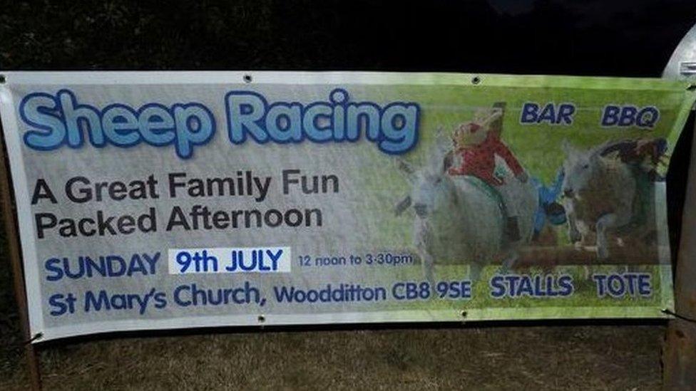 Sheep racing advertising