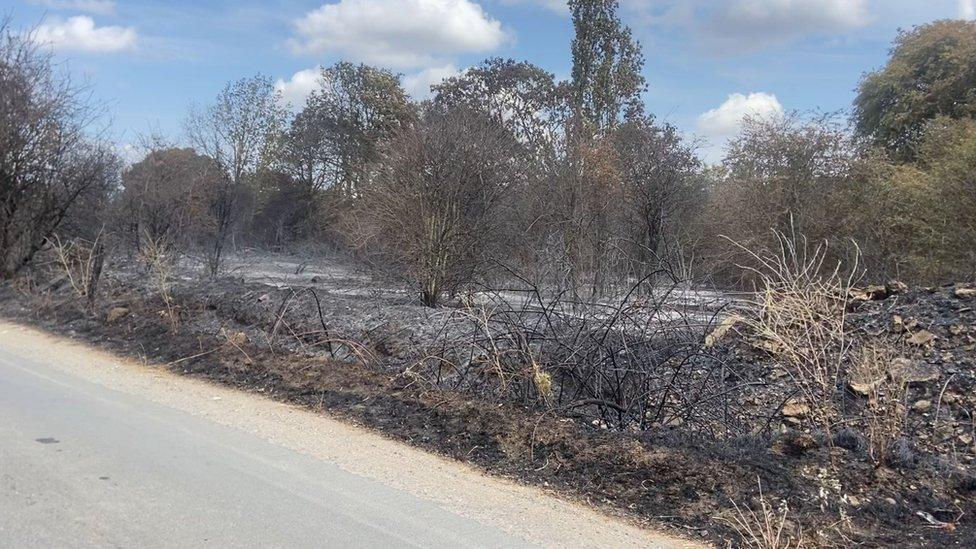 Aftermath of Joyce Green blaze