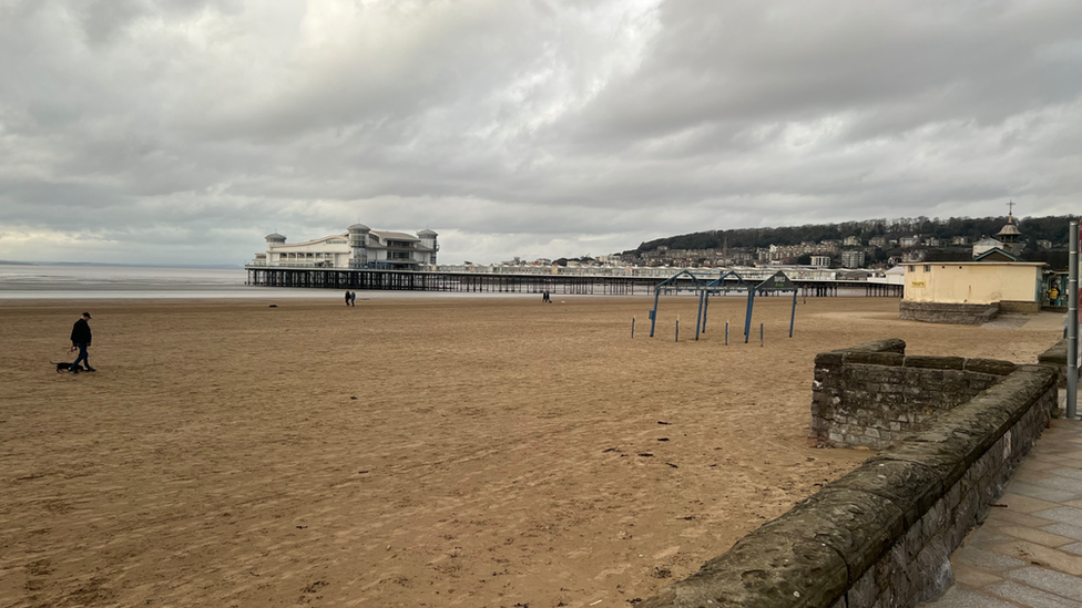 Weston-super-Mare coast