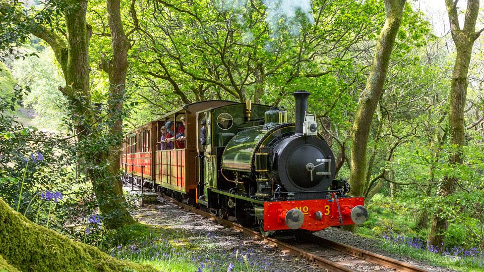 Train in woods