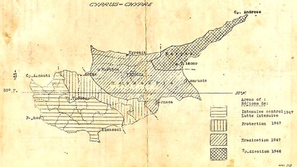 Cyprus map