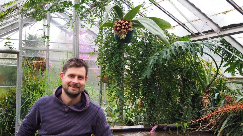 Alex Summers by the bulbophyllum phaleenopsis