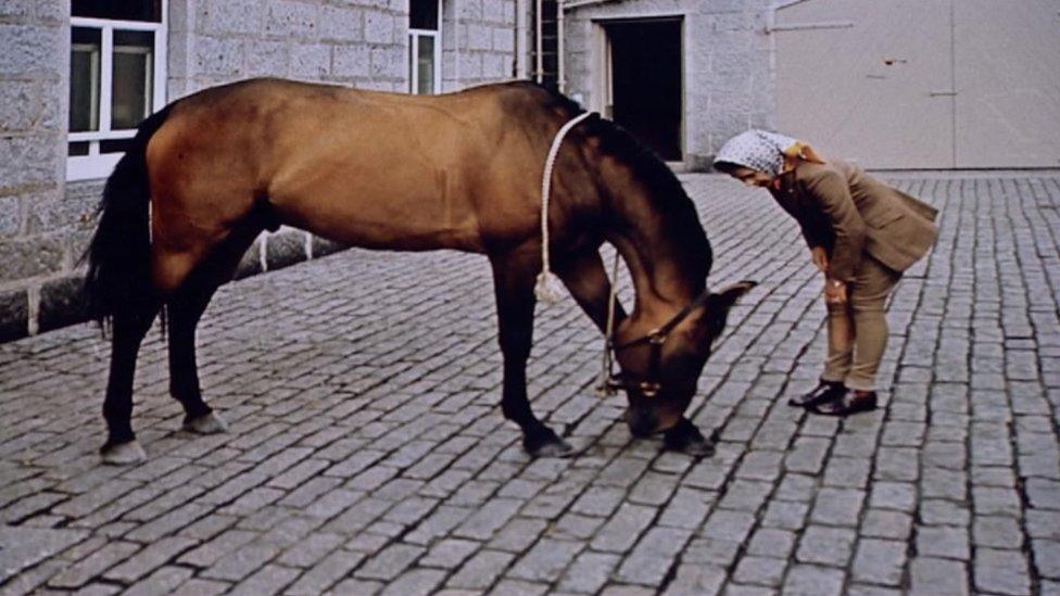 The Queen with a horse