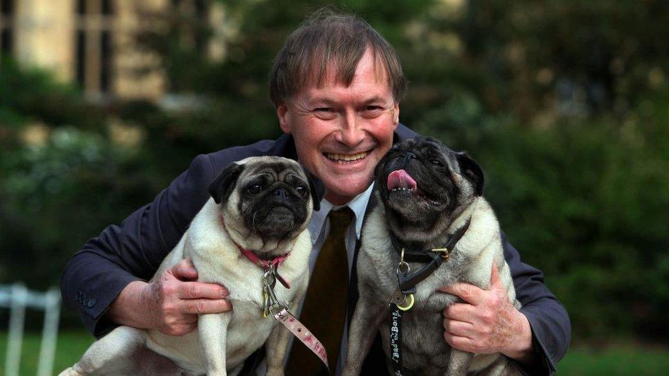 Sir David Amess, the MP who was murdered in a terror attack in 2021, seen smiling with two pugs, one arm around each