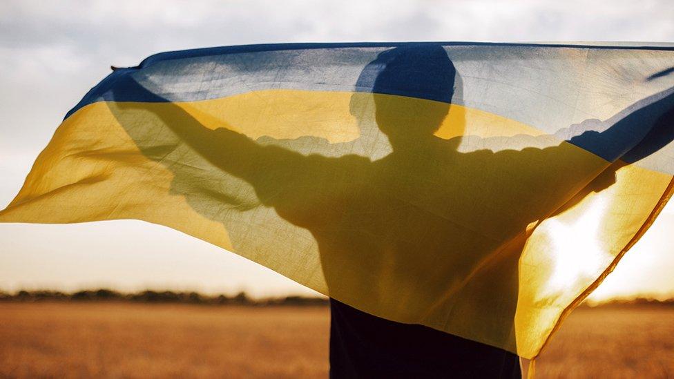 Silhouette image of person holding Ukrainian flag