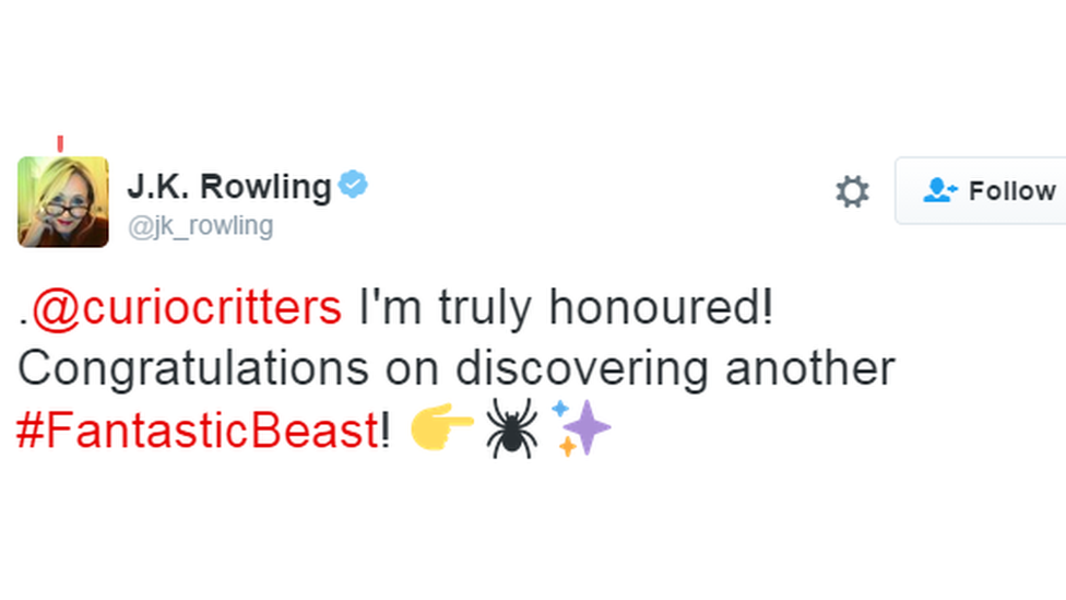 "Congratulations on discovering another Fantastic Beast" said JK Rowling