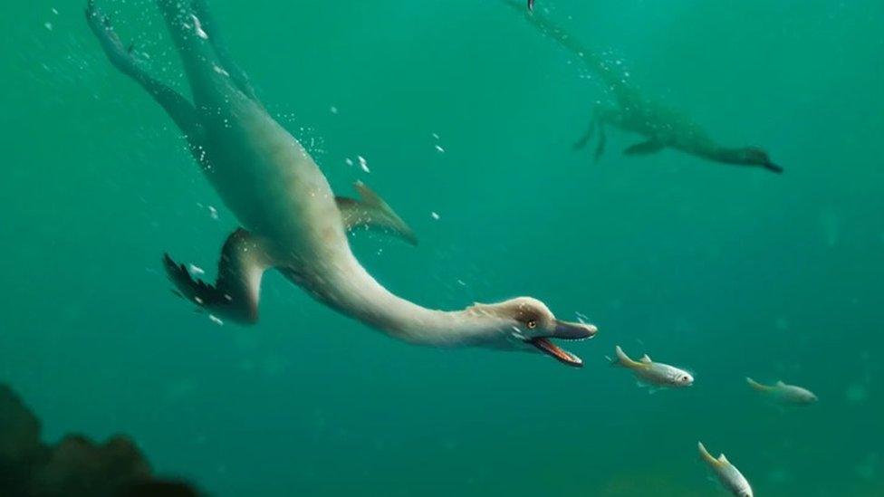 Duck-like dinosaur diving.