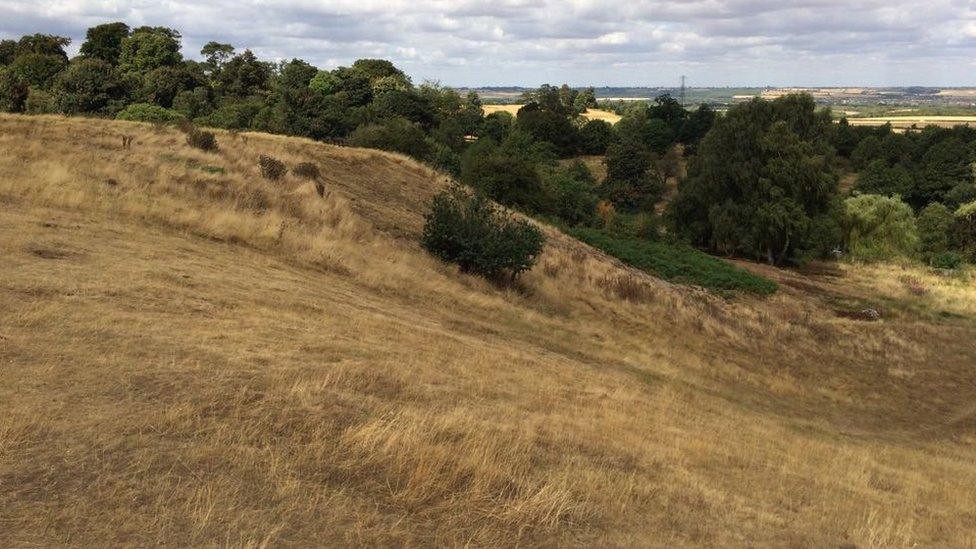 Site of possible ice house