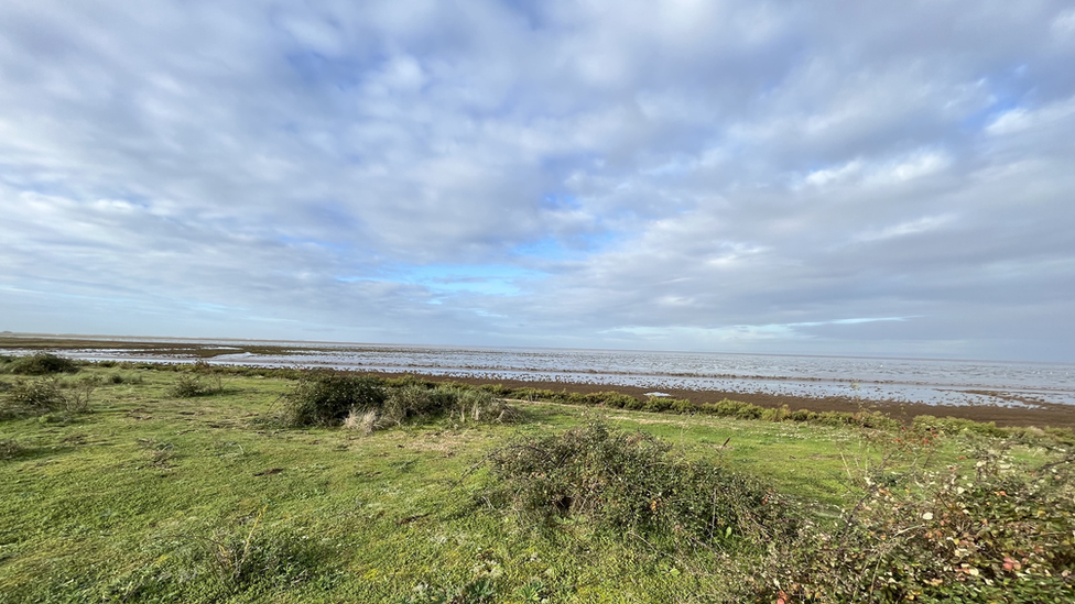 Birds at the RSPB in Snettisham, Norfolk