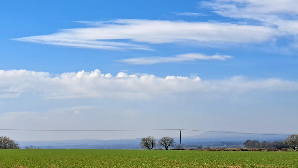 A blue sky with a green field below and white clouds in the sky 