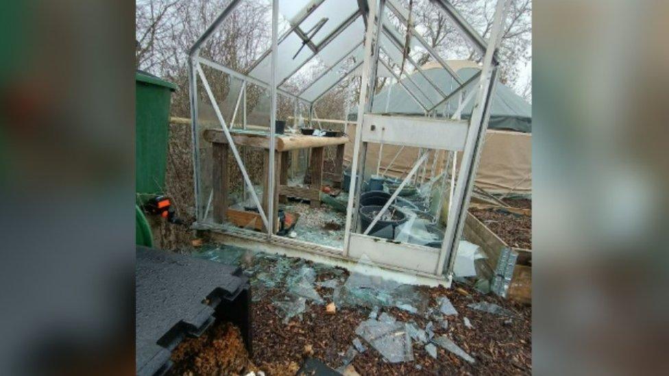 Smashed up greenhouse