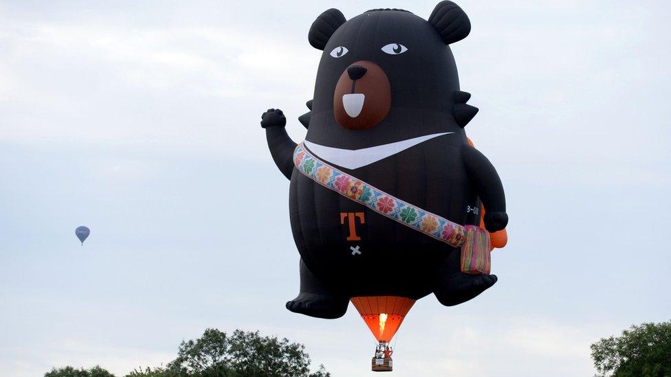 bear-hot-air-balloon.