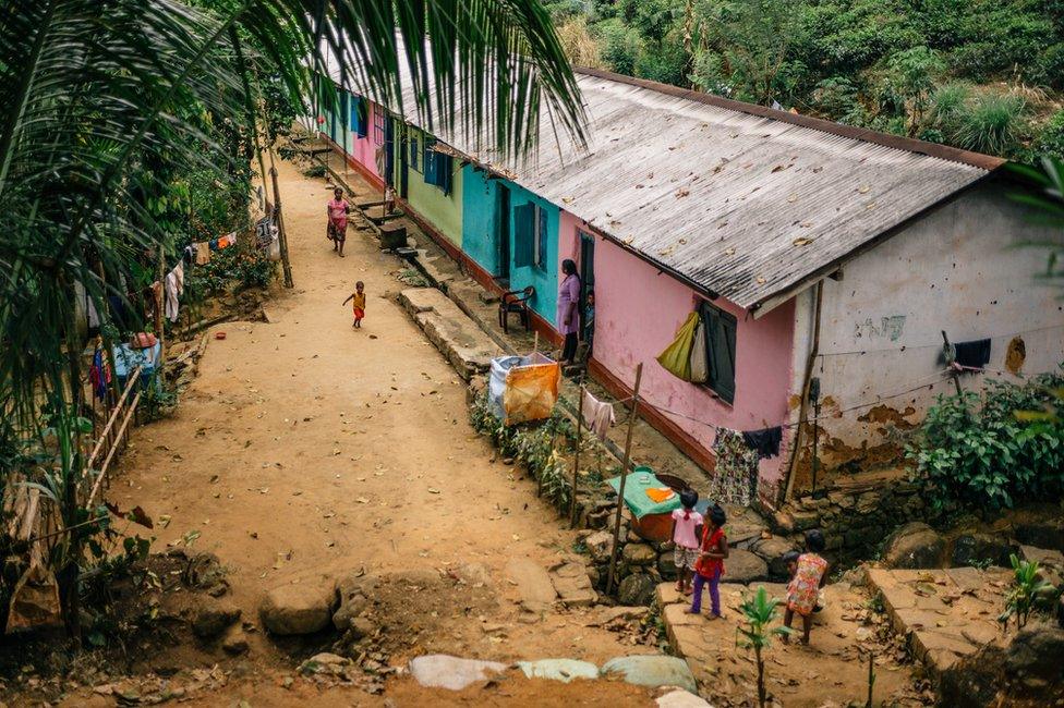 Families walk outside their houses next to a tea plantation.