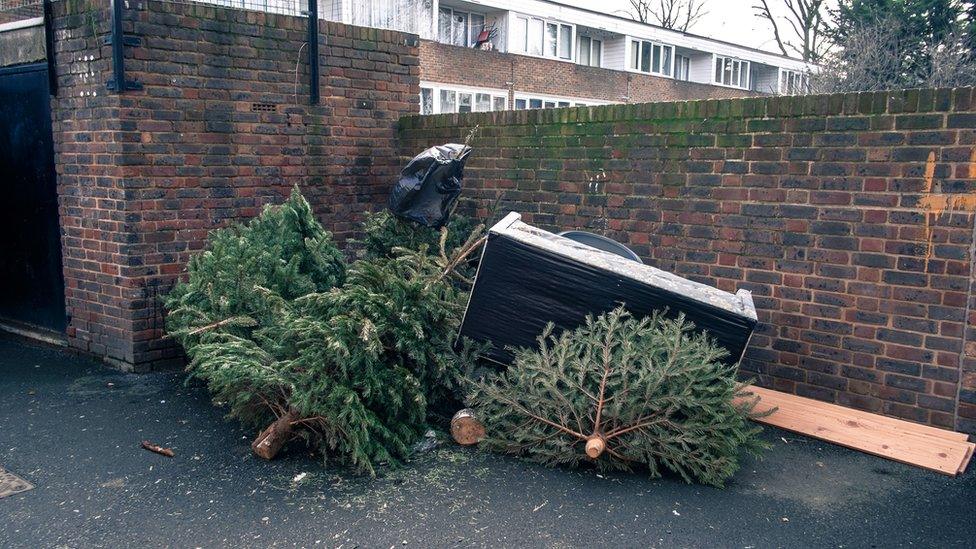 Around eight million Christmas trees are sold in the UK over the festive period