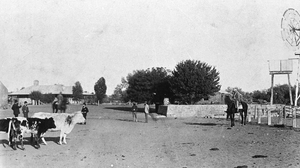 Anna Creek Station's homestead and yard in 1896