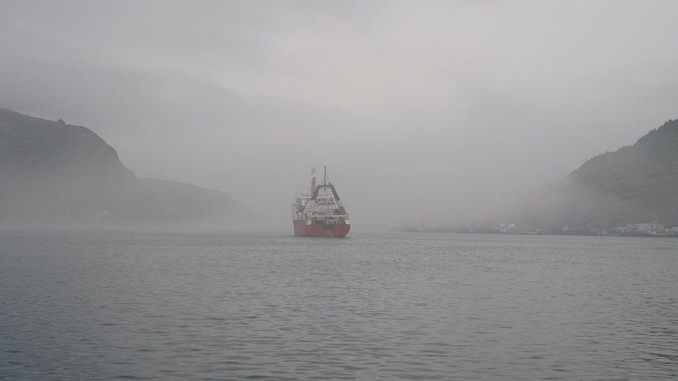 The St John's harbour